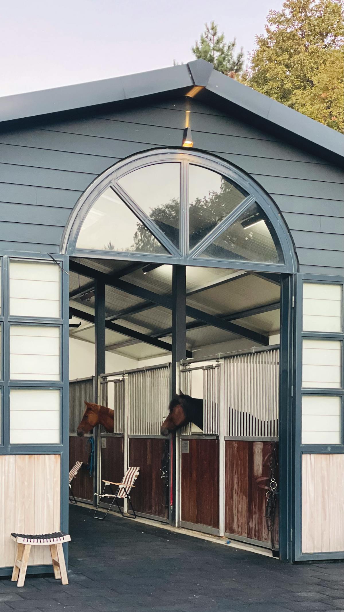 Hevonen tallissa käytävällä